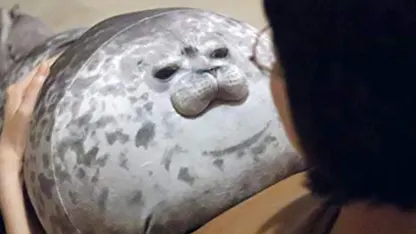 13" Chubby Blob Seal Pillow