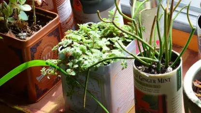 For those of you seriously into summer.