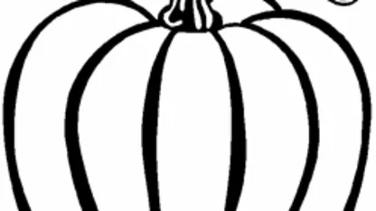 Where do you draw the line on pumpkin?