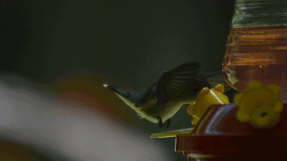 Ideas for LED string lighting