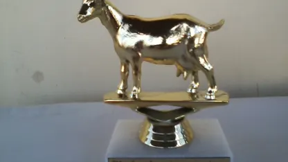 Attention you loser Goats