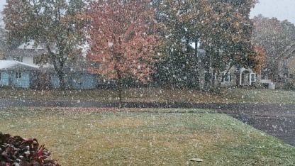 It's beginning to look a lot like...