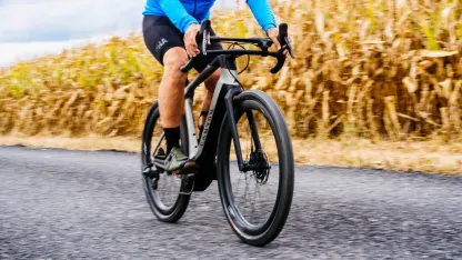 E-bikes: fad or here to stay? (Support your opinion in the comments, please.)