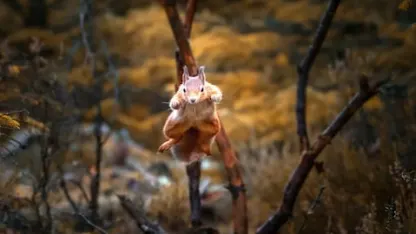 Life as December Goat:  Day 27