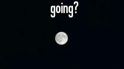 How is your evening going?