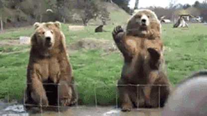 Watch these savages acting like there's no pandemic