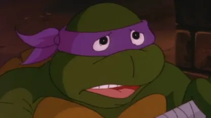 Who's your favorite Teenage Mutant Ninja Turtle?