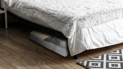 10-Pack: Whitmor Underbed Storage Bags (30"x18"x6")