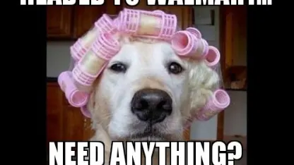 Heading to Walmart...