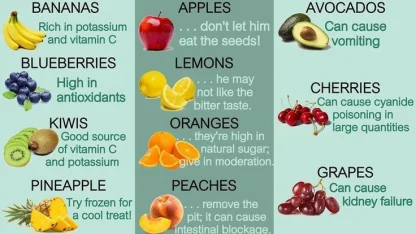 Want safer food for your cats and dogs? Check this url out.