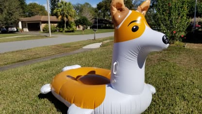 New inflatable canine!