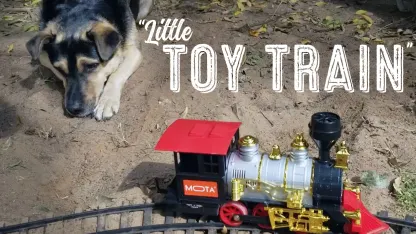Little Toy Train