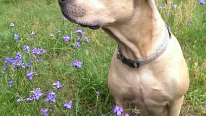 Something broke my door