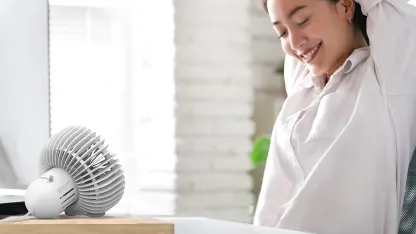 Vornado Desktop Fans