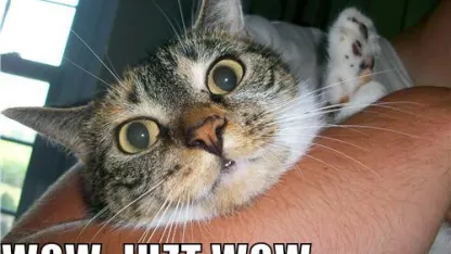 Wow... Just... Wow...