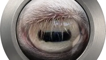 Goatoshop, 2/19: Guess Who, MotherF***er!