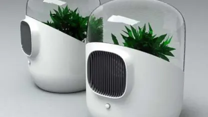 Why would/do you use an air purifier?