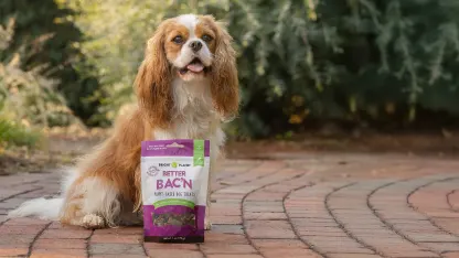 12-Pack: Bright Planet Plant-Based Dog Treats