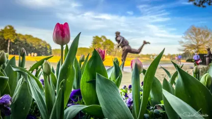 Thanksgoating - Day 204.  Go be human.