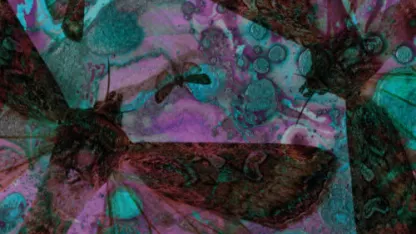 500 Eternal Sever Air Or