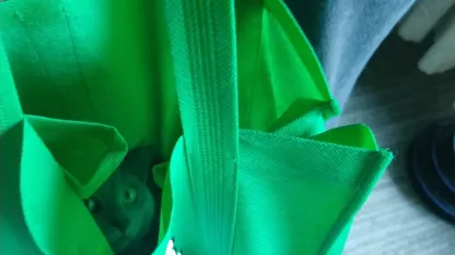 Niccolo & Maffeo in — Fukobucatto!