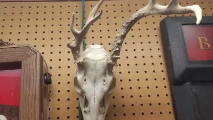 Take a picture of your stuff, share the story