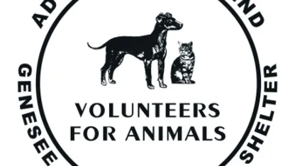 Winnie's Fund [unofficial] for the Love of Animals, even Cats