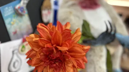 My what a beautiful flower you have!