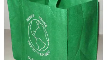 Do you use reusable shopping bags?