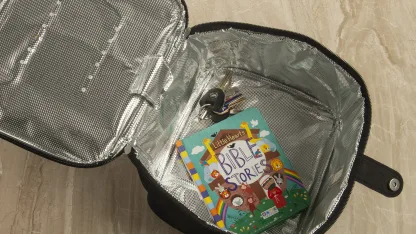 Hy-Genie Large UV-C Sanitizing Bag & Wand with 50-Pack KN-95 Masks