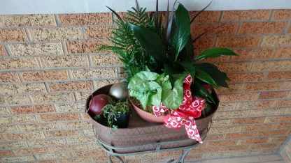 Where did I go wrong, or is it Meh's fault?