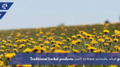 One less reason for VMP