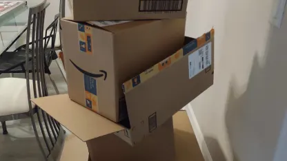 Once my bubble wrap obsession has run its course, cardboard boxes are next