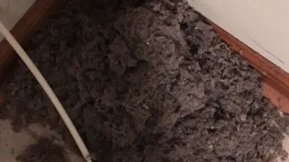 PSA:  You should clean your dryer vents.