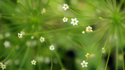 포럼참 재미나네요