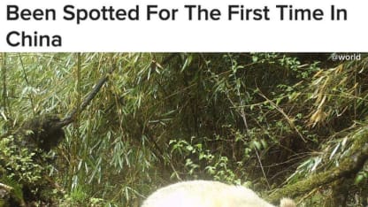 Omg . my first meh shirt sighting in the wild!