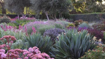 Anyone familiar with PA plant life?