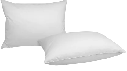 2-for-Tuesday: iEnjoy Down Pillows (Standard or King)