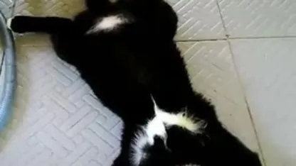 When the heat gets to be too much, I: