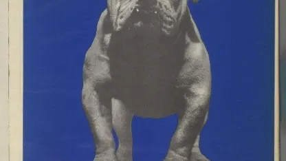 Make the USA British Again