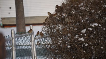 East Coast Needs Beaty Sleep