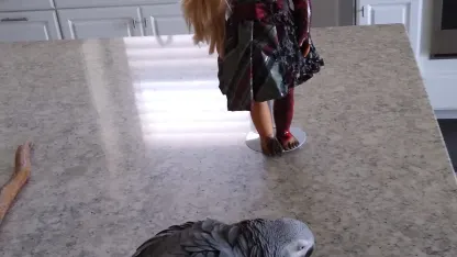 Ashley has arrived!!!!!!!!!