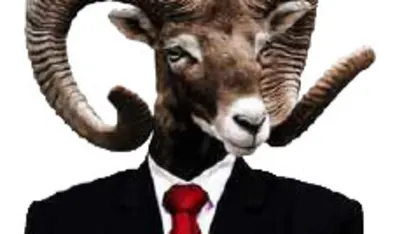 Scapegoat of the Month – September {CURSE YOU, @studerc}