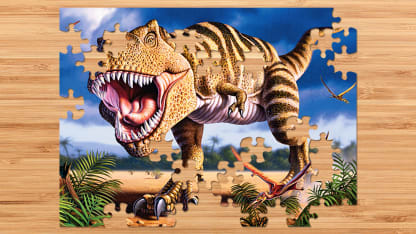 3-Pack 100 or 300 Piece Puzzles for Kids