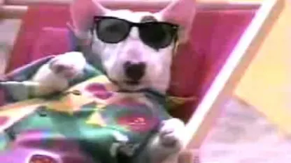 Send me pop culture characters