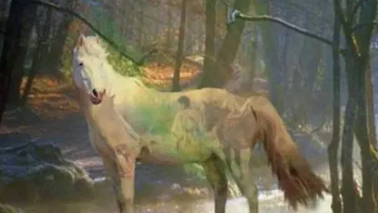 Do you have a favorite animal?