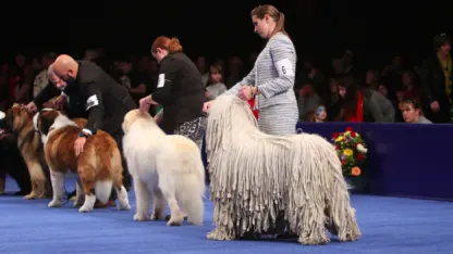 The best thing about Thanksgiving is: