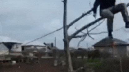 Meh, Quip, and Fate: The Movie