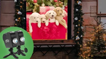 2-for-Tuesday: Window Wonderland Deluxe Holiday Projectors
