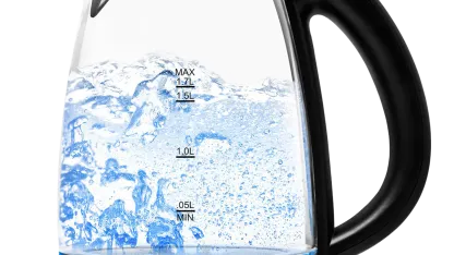 Mealthy 1.7L Electric Glass & Stainless Steel Kettle